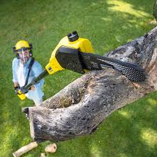 Keenesburg, CO Tree Services Company