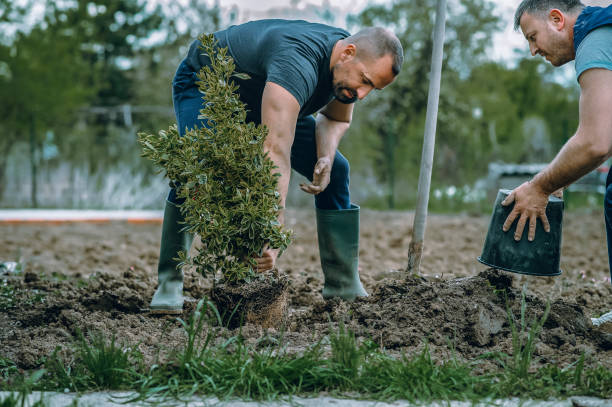 Best Seasonal Cleanup (Spring/Fall)  in Keenesburg, CO